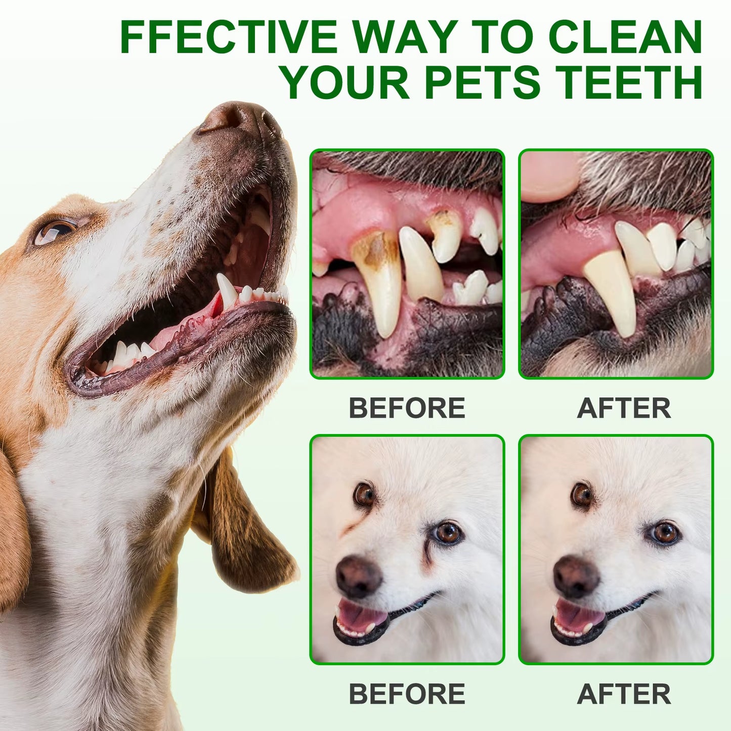Oimmal Private Label Pet Supplies Dental Wipes Dogs Cats Oral Care Teeth Cleaning Wet Finger Wipes
